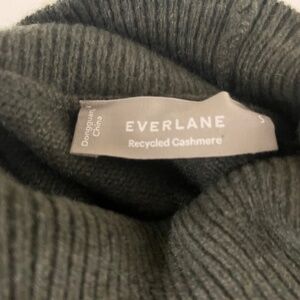 Everlane cashmere turtle neck sweater